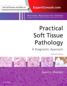 Practical Soft Tissue Pathology: A Diagnostic Approach