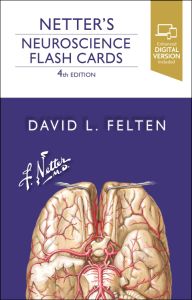 Netter's Neuroscience Flash Cards