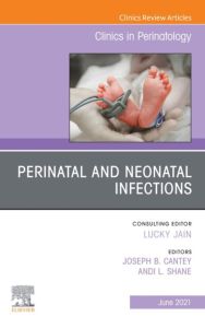 Perinatal and Neonatal Infections, An Issue of Clinics in Perinatology EBook