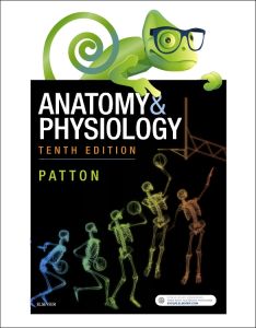Elsevier Adaptive Quizzing for Anatomy & Physiology Australian and New Zealand 10th edition