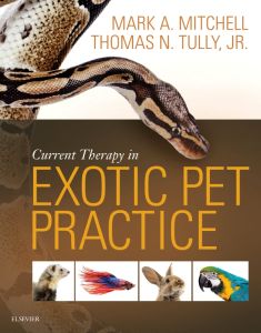 Current Therapy in Exotic Pet Practice