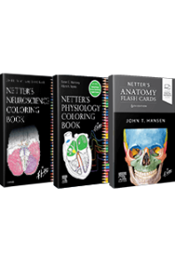 The Ultimate Netter's Bundle