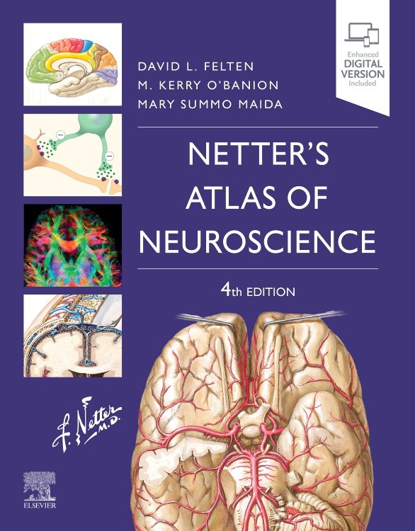 Netter's Atlas of Neuroscience: 4th edition | David L. Felten