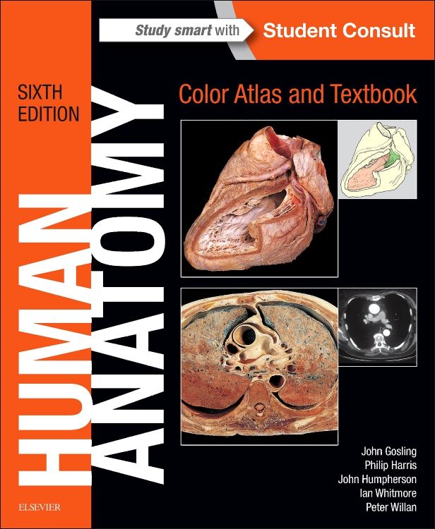 健康・医学 ATLAS OF HUMAN ANATOMY 6th EDITION Atlas of Human Anatomy, 6th Edition - YouTube