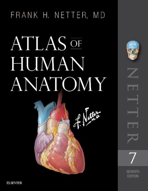 Atlas of Human Anatomy E-Book: 7th edition | Frank H. Netter