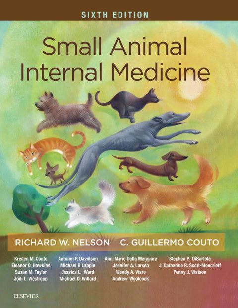 Small Animal Internal Medicine - E-Book: 6th edition | Richard W