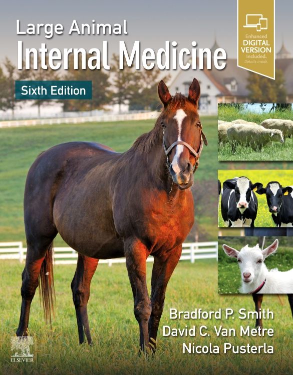 Large Animal Internal Medicine: 6th edition | Edited by Bradford P