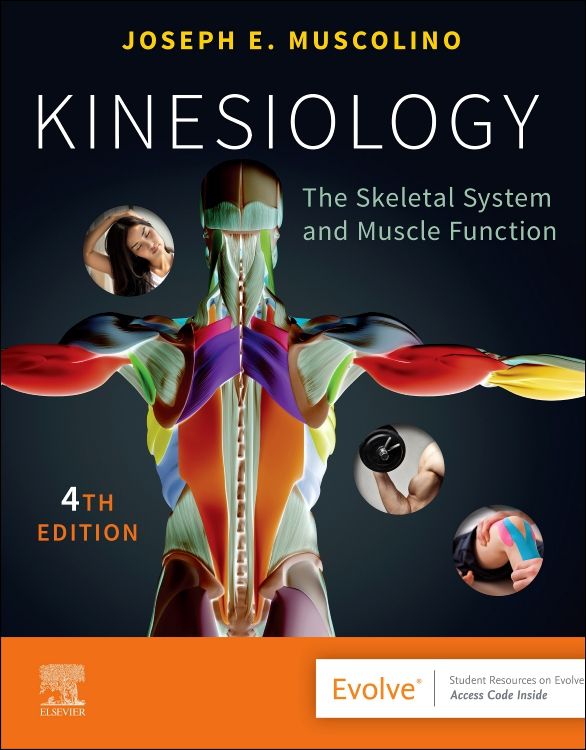 Kinesiology: 4th edition | Joseph E. Muscolino | ISBN
