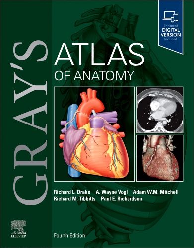 PROMETHEUS Atlas of Anatomy 第4版 Prometheus. Atlas de Anatoma 4 ed ebook : Amazon.sg: Books