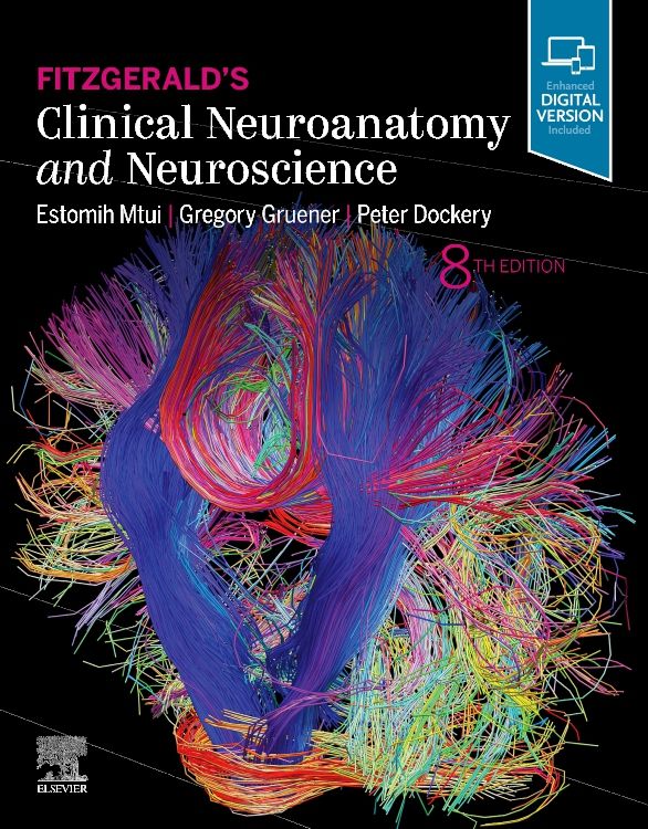 Fitzgerald's Clinical Neuroanatomy and Neuroscie: 8th edition