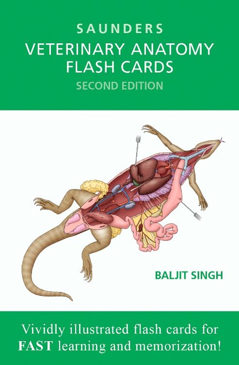 9781455776832　Baljit　Australia　Elsevier　Cards:　ISBN:　Anatomy　Veterinary　Singh　edition　Flash　2nd　Bookstore