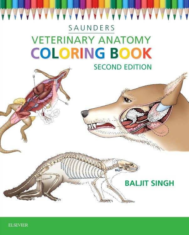 獣医生理学Veterinary Physiology 第二版 Amazon.co.jp: 獣医薬理学〈第二版〉 : 日本比較薬理学・毒性