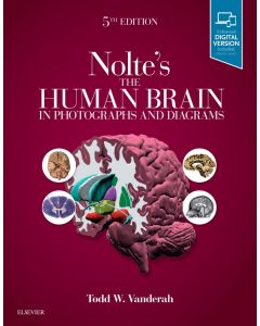 Nolte's The Human Brain in Photographs and Diagrams