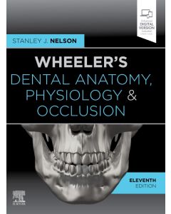 Wheeler's Dental Anatomy, Physiology and Occlusion