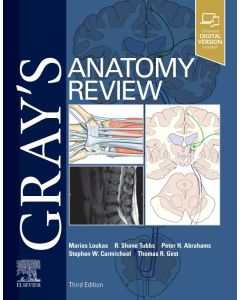 Gray's Anatomy Review