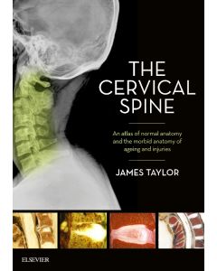 The Cervical Spine